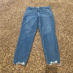 American Eagle curvy hi rise jeggings size 10 short